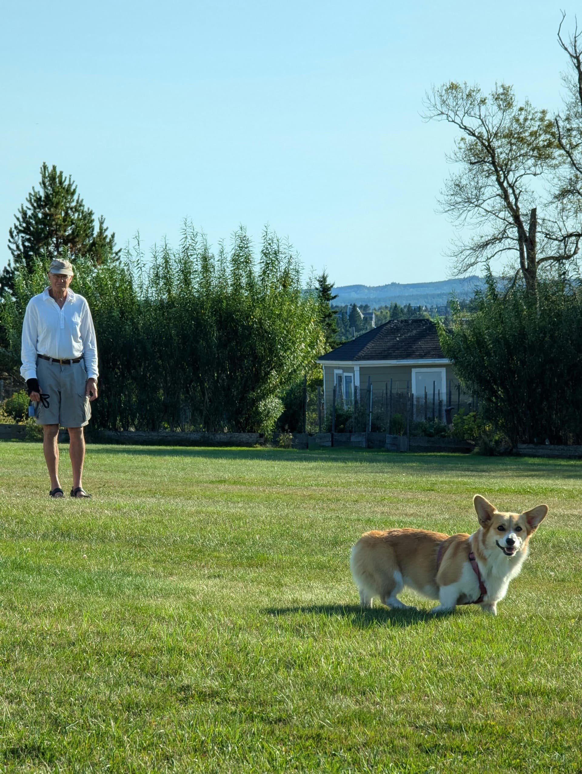 Man with Corgi in grassy field