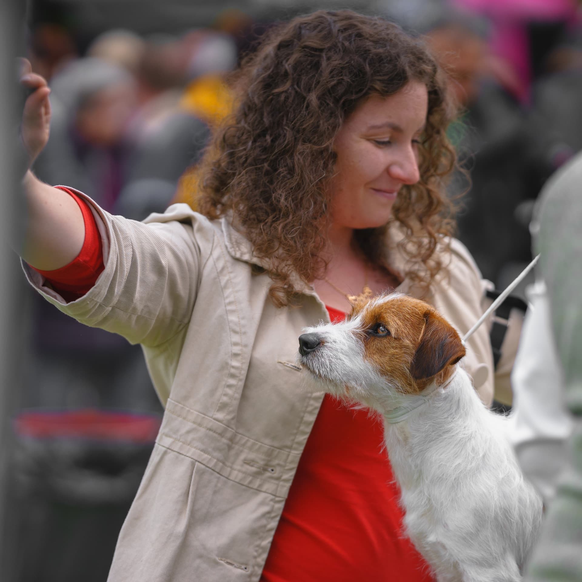 Handler with Jack Russell Terrier
